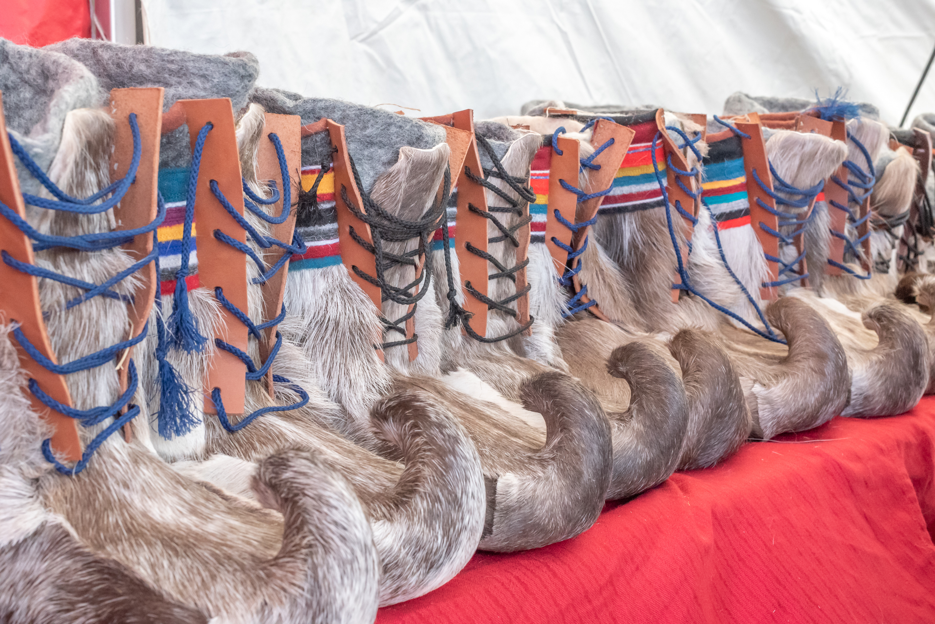 Private Sami Culture Experience | Legendary Adventure