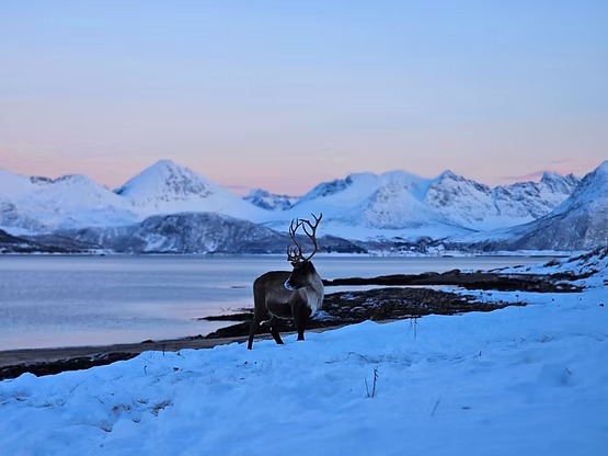 imgi_32_15ff6b_65954da5deed4066a734d560e3b9a126~mv2